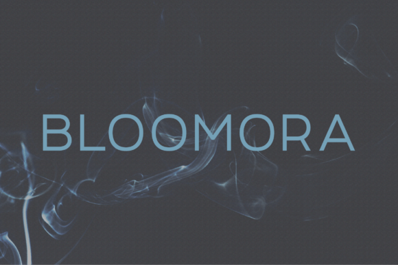 Bloomora: A Modern Sans Serif Typeface for Web Design