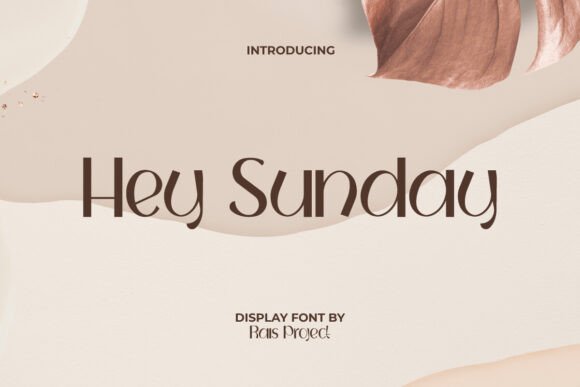 Hey Sunday: A Playful Sans Serif Font for Small Business