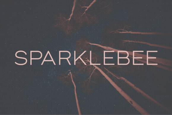 Sparklebee: A Modern Classy Sans Serif Typeface Review