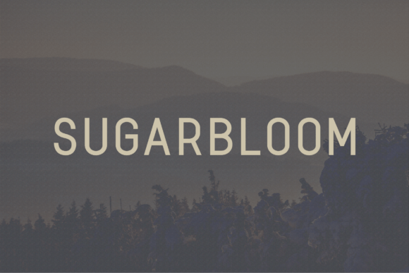 Sugarbloom: A Modern Sans Serif Typeface for Web Design